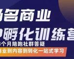 杨名商业IP孵化训练营,从商业到内容到转化一站式学 价值5980元-木石资源网