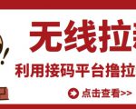 最新接码无限拉新项目,利用接码平台赚拉新平台差价,轻松日赚500+-木石资源网