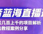抖音最新蓝海直播玩法,3分钟赚30元,一天轻松1000+,只要你去直播就行【详细玩法教程】-木石资源网