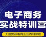 民赛电气内部出品:电子商务实战特训营,全方位带你入门电商,308种方式玩转电商-木石资源网