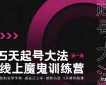 大播·五天起号魔鬼训练营,告别光学不练,逼自己上车,成败与否,5天拿到结果-木石资源网