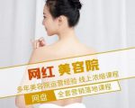 新郑市伊人坊美容:网红美容院全营销落地课程,多年美容院运营经验-木石资源网