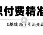 玩转知识付费项目精准引流,给你1套课多账号操作落地方案!-木石资源网