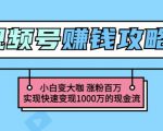 玩转微信视频号赚钱:小白变大咖涨粉百万实现快速变现1000万的现金流-木石资源网