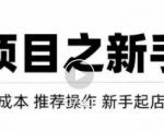 虚拟项目快速起店模式,0成本打造月入几万虚拟店铺!-木石资源网