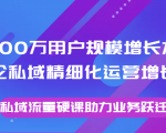 8000万用户规模增长方法论私域精细化运营增长,私域流量硬课助力业务跃迁-木石资源网