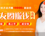 全网千万人气导师亲授:零基础/易上手的朋友圈赚钱攻略,让你轻松月入过万-木石资源网
