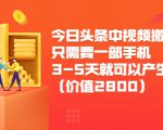 今日头条中视频搬运项目,只需要一部手机3-5天就可以产生利润(价值2800元)-木石资源网