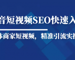 抖音短视频Seo搜索排名优化新手快速入门教程,实体商家短视频,精准引流实操课-木石资源网
