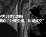 新媒体IP内训营(12期),一套全新的“公域引流,私域成交”IP打法,直接带走-木石资源网
