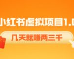 《小红书虚拟项目1.0》账号注册+养号+视频制作+引流+变现,几天就赚两三千-木石资源网