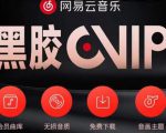 网易云音乐撸黑胶年卡及变现方法,收益可无限放大-木石资源网