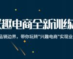 兴趣电商全新训练营:打破品销边界,带你玩转“兴趣电商“实现业务增长-木石资源网