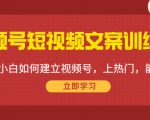 视频号短视频文案训练营：0基础小白如何建立视频号，上热门，能卖货！-木石资源网
