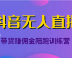 抖音无人直播带货赚佣金陪跑训练营（价值6980元）-木石资源网