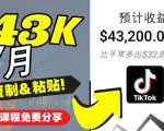 2022抖音国际版Tiktok赚钱项目：每天上传一个视频就轻松月入$43200-木石资源网