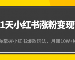 21天小红书涨粉变现营（第4期）：带你掌握小红书爆款玩法，月赚10W+秘密-木石资源网