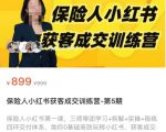 保险人小红书获客成交训练营，0基础高效玩转小红书，可复制的获客成交之路-木石资源网