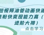 短视频油管动画快速制作涨粉快变现能力高（0基础进阶大神）-木石资源网