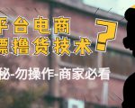 外面收费2980的全平台电商白嫖撸货技术(仅揭秘勿操作-商家防范必看)-木石资源网
