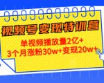 21天视频号变现特训营：单视频播放量2亿+3个月涨粉30w+变现20w+（第14期）-木石资源网