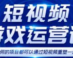 短视频游戏赚钱特训营，0门槛小白也可以操作，日入1000+-木石资源网