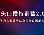 镜头口播特训营2.0版,学习文案编导以及拍摄口播能力(50节课时)-木石资源网