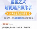瑶瑶·自然流短视频IP孵化第二期，14天线上实战训练营，赋能100个人成为有数据能赚钱的独立IP孵化手-木石资源网