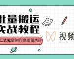 视频号批量搬运实战操作运营赚钱教程,傻瓜式批量制作高质量内容【附视频教程+PPT】-木石资源网
