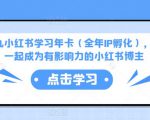 厦九九小红书学习年卡（全年IP孵化），沉浸式学习，一起成为有影响力的小红书博主-木石资源网