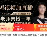 张越·短视频+直播,自然流三频共振起号实操课,短视频所有流量玩法讲解-木石资源网