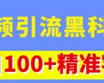 视频引流黑科技玩法，不花钱推广，视频播放量达到100万+，每日100+精准客源-木石资源网