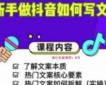 新手做抖音如何写文案，手把手实操如何拆解热门文案-木石资源网