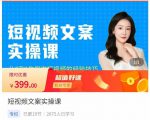 小秋·短视频文案实操课,从0到1教你做短视频的经验技巧-木石资源网