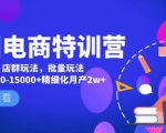 美团电商特训营：美团·店群玩法，无脑铺货月产出6000-15000+精细化月产2w+-木石资源网
