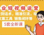 5套·美业短视频运营课从场景到话术·精准引流·吸金文案工具·销售闭环等-木石资源网
