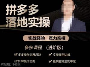 拼多多实战篇·落地实操:多多操作完整思路+实操案例讲解+拆解操作思路+复杂的算法简单化-木石资源网