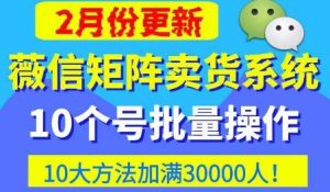 微信矩阵卖货系统,多线程批量养10个微信号,10种加粉落地方法,快速加满3W人卖货!-木石资源网