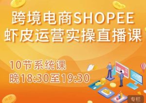 跨境电商Shopee虾皮运营实操直播课，从零开始学，入门到精通（10节系统课）-木石资源网