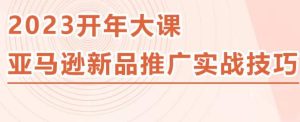 2023亚马逊新品推广实战技巧，线下百万美金课程的精简版，简单粗暴可复制，实操性强的推广手段-木石资源网