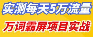 百度万词霸屏实操项目引流课，30天霸屏10万关键词-木石资源网