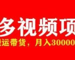 多多带货视频快速50爆款拿带货资格，搬运带货，月入30000【全套脚本+详细玩法】-木石资源网