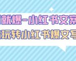 一写就爆-小红书文案课:带你玩转小红收爆文写作(45节课)-木石资源网