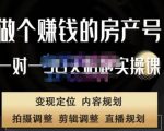 刘广标·同城房产号线上陪跑课,拍摄、剪辑、写文案、直播,做一个具有潜力价值的房产号-木石资源网