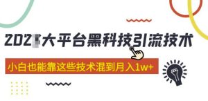 大平台黑科技引流技术,小白也能靠这些技术混到月入1w+(2022年的课程)-木石资源网