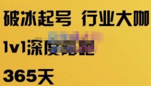 珍妮·短视频直播(定制)线上陪跑,平台逻辑及赛道选择、短视频数据分析技巧、直播三大核心等-木石资源网