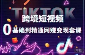 跨境短视频TIKTOK 0基础到精通网赚变现套课,跨境短视频独立站带货变现技巧-木石资源网