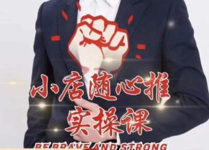 随心推线上课，小店随心推的投放逻辑，投放技巧，快速打标签-木石资源网