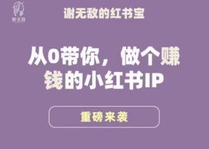 谢无敌·小红书运营大宝典,从0带你做个赚钱的小红书IP-木石资源网