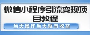 微信小程序引流变现项目教程,当天操作当天就有收益,变现不再是难事-木石资源网